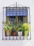 Window and Flower Pots, Mijas, Andalucia (Andalusia),Spain, Europe Photographie par Fraser Hall