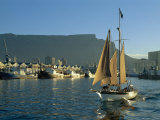 South Africa, Cape Town. Small Cruise Yacht Leaving Victoria and Albert Waterfront at Dusk Photographie par Fraser Hall