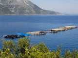 Fish Farm for Sea Bass and Sea Bream Near Vathy (Vathi), Ithaka, Ionian Islands, Greece, Europe Photographic Print by Robert Harding Fish Farm for Sea Bass and Sea Bream Near Vathy (Vathi), Ithaka, Ionian Islands, Greece, Europe Photographic Print by Robert Harding