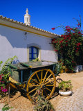 Farmhouse, Silves, Western Algarve, Portugal, Europe Photographic Print by Tom Teegan