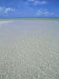 Beach, Andros, Bahamas, Central America Photographie par Ethel Davies