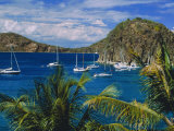 Guadeloupe, French Antilles, Caribbean, West Indies Lámina fotográfica por Sylvain Grandadam Guadeloupe, French Antilles, Caribbean, West Indies Lámina fotográfica por Sylvain Grandadam