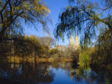 Central Park, New York, Ny, USA Photographie par Ethel Davies
