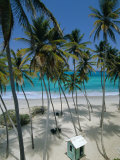 Bottom Bay Beach, East Coast, Barbados, Windward Islands, West Indies, Caribbean, Central America Lámina fotográfica por Sylvain Grandadam Bottom Bay Beach, East Coast, Barbados, Windward Islands, West Indies, Caribbean, Central America Lámina fotográfica por Sylvain Grandadam