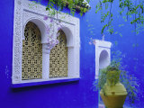Jardin Majorelle, Marrakech, Morocco Photographic Print by Bruno Morandi