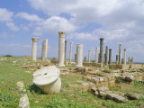 Columns of the 7th/8th Century Byzantine Basilica at Ancient Abila, Jordan Photographic Print by Richard Ashworth