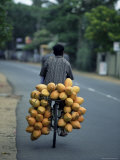 Man Carrying Coconuts on the Back of His Bicycle, Sri Lanka, Asia Photographie par Yadid Levy