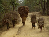Women and Children Walking on a Country Road, North of Kathmandu, Nepal Photographic Print by Liba Taylor