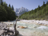 View Along Stony Shallow River Velika Pisnca to Prisank Mountain, Dolina, Slovenia Fotografisk trykk av Pearl Bucknell
