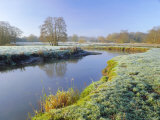 A Frosty Morning on Surrey Wildlife Trust's Wetland Reserve, Surrey, England Photographic Print by Pearl Bucknell