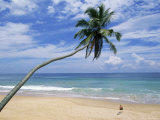 Palm Tree and Surfer, Hikkaduwa Beach, Island of Sri Lanka, Indian Ocean, Asia Photographie par Yadid Levy
