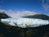 Perito Moreno Glacier, Has Almost Dammed the Tempano Channel, Patagonia, Argentina Photographic Print by Louise Murray