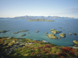 Autumnal Bloom, Senja Vewied from Sommeroy (Summer Isle), Near Tromso, Norway, Scandinavia Photographic Print by Dominic Webster