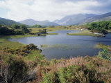 Upper Lake and Macgillycuddy's Reeks, Ring of Kerry, Killarney, Munster, Republic of Ireland (Eire) Photographic Print by Roy Rainford
