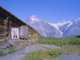 View from Grindelwald-Frist to Wetterhorn and Shreckhorn Mountains, Switzerland Photographie par Hans Peter Merten