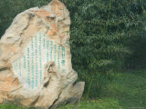Rock with Chinese Writings and Bamboo Forest, Purple Bamboo Park, Beijing, China, Asia Photographic Print by Jochen Schlenker