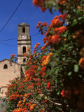 Ota, Corsica, France, Europe Photographie par Yadid Levy
