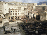 Tannery, Fez, Morocco, North Africa, Africa Photographic Print by Matthew Davison
