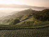 June Sunrise, Longsheng Terraced Ricefields, Guangxi Province, China, Asia Photographie par Angelo Cavalli