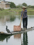 Fisherman with Cormorant, Yangshuo, Li River, Guangxi Province, China, Asia Photographie par Angelo Cavalli