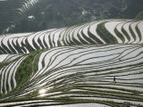 Chinese Farmer in Ricefield in June, Longsheng Terraced Ricefields, Guangxi Province, China, Asia Photographie par Angelo Cavalli
