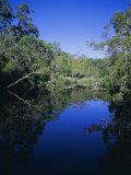 Everglades, Noosa, Queensland, Australia Photographic Print by Rob Mcleod