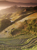 June Sunrise, Longsheng Terraced Ricefields, Guangxi Province, China, Asia Photographie par Angelo Cavalli