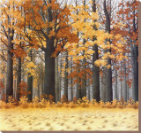 Autumn Wood Stretched Canvas Print by Arzt 
