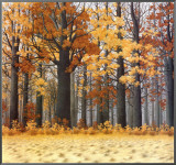 Autumn Wood Framed Canvas Print by Arzt 