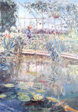 Lily Pond Pósters por Paula Nightingale Lily Pond Pósters por Paula Nightingale