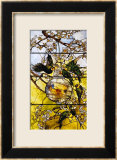 Parakeets and Gold Fish Bowl, 1893 Pósters por Louis Comfort Tiffany Parakeets and Gold Fish Bowl, 1893 Pósters por Louis Comfort Tiffany