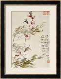 Willow and Peach Blossoms Gerahmter Giclée-Druck von Li Shan