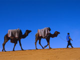Camel Train Through Desert, Morocco, North Africa Photographic Print by Bruno Morandi
