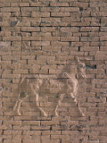 Animal in Relief on the Wall of the South Palace, Archaeological Site of Babylon, Iraq, Middle East Photographic Print by J P De Manne