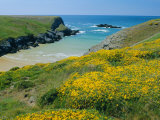 Cote De Port Kerledan, Belle-Ile-En-Mer, Breton Islands, Morbihan, Brittany, France Photographic Print by J P De Manne