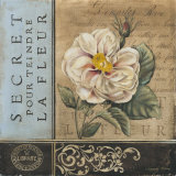 Le Jardin Secret I Poster by Kimberly Poloson Le Jardin Secret I Poster by Kimberly Poloson