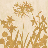 Golden Reflections I Posters by Erin Lange Golden Reflections I Posters by Erin Lange