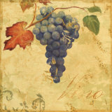 Tuscany I Posters by John Zaccheo