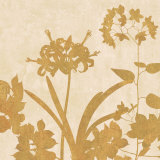 Golden Reflections II Prints by Erin Lange Golden Reflections II Prints by Erin Lange