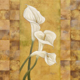 Flora del Rey I Posters by Paul Brent