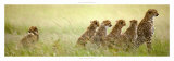 Michel & Christine Denis-Huot - Ecole Buissonniere - Art Print Michel & Christine Denis-Huot - Ecole Buissonniere - Art Print