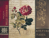 Belle Jardin II Art by Kimberly Poloson