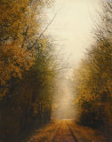 Road of Mysteries I Posters by Amy Melious