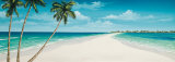 Tropical Lagoon Posters by Elena Panizza
