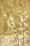 Blossoms in Gold I Affiche par Chris Donovan