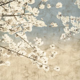 Cherry Blossoms II Affiches van John Seba