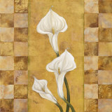 Flora del Rey II Art by Paul Brent