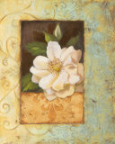 Antique Rose II Prints by Jillian Jeffrey