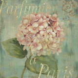 Vintage Fragrance IV Plakater av Daphne Brissonnet Vintage Fragrance IV Plakater av Daphne Brissonnet