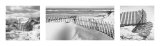 Beach Fences Prints by Harold Silverman